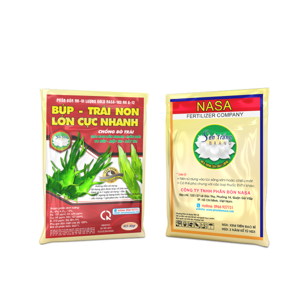 BÚP TRÁI NON LỚN CỰC NHANH (30gr)