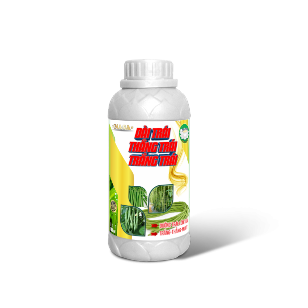 DÀI TRÁI THẮNG TRÁI TRẮNG TRÁI 