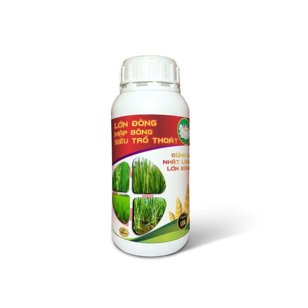 LỚN ĐÒNG MẬP BÔNG (500ml)