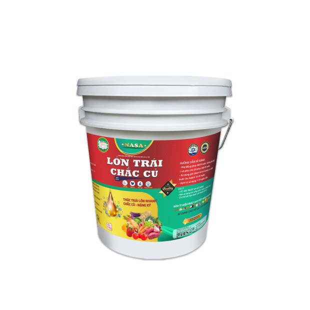 LỚN TRÁI CHẮC CỦ (10kg)