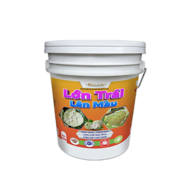 LỚN TRÁI LÊN MÀU (20kg)