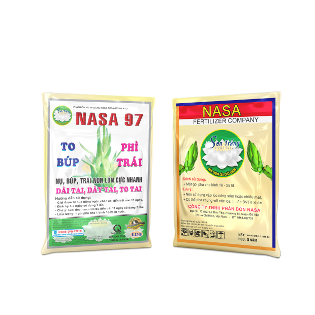 NASA 97 TO BÚP PHÌ TRÁI (50g)