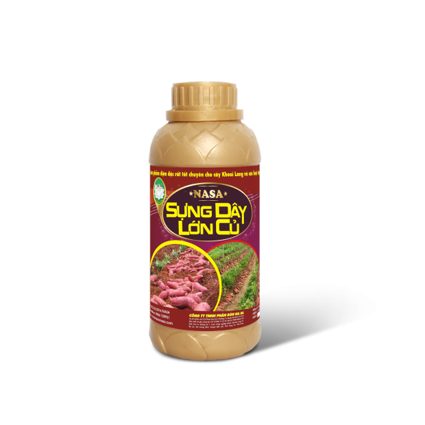 SỰNG DÂY LỚN CỦ